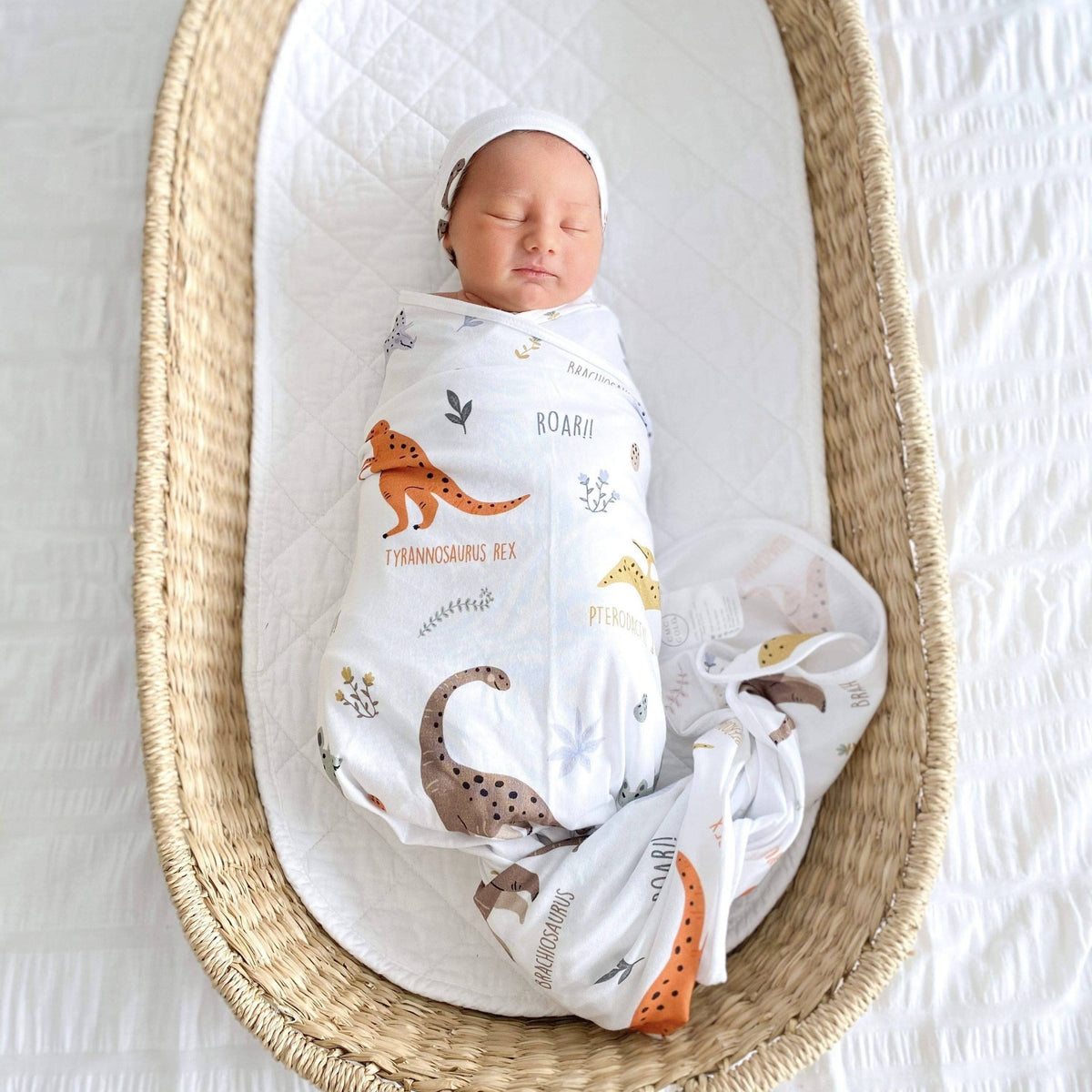 CMC GOLD - Dino Land Swaddle Set