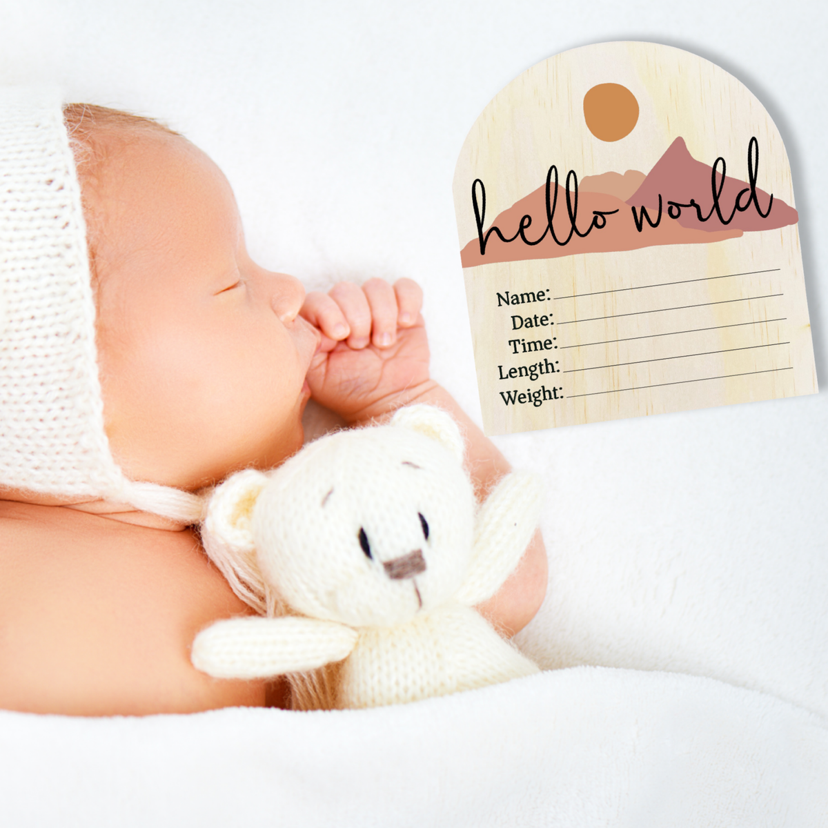 Timber Tinkers - Hello World Desert Wooden Arch Birth Disc